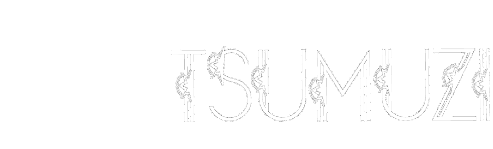 バイオリニストTSUMUZI Official Website