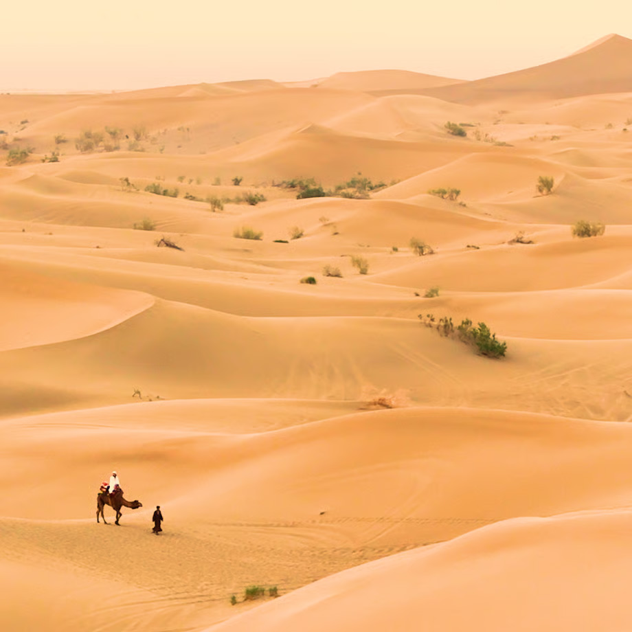 イラン撮影！ 第二弾『CARVAAN』クラウドファンディング 10000円コース